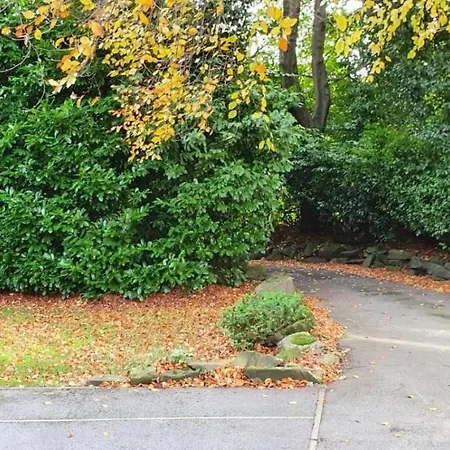 Cosy 2bed Near Roundhay Park Apartment